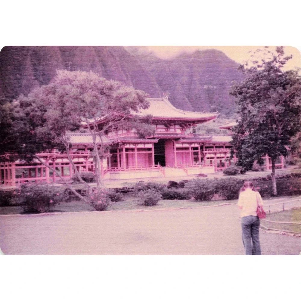 Vintage 1970s Byodo-In Temple Oahu Hawaii Buddha Photo Lot of 9 - Picture 8 of 9